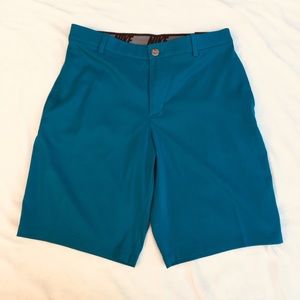 Nike Mens Size 32 Blue Golf Shorts Standard Fit
